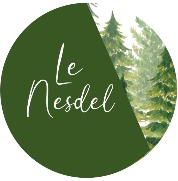 Le Nesdel Lejlighed Gérardmer Eksteriør billede